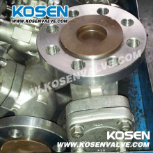 Stainless Steel Flanged End Check Valve